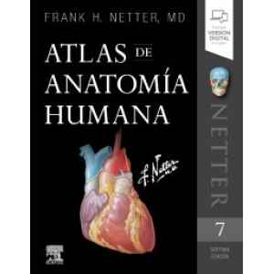 Netter – Atlas de Anatomía Humana 7 Ed. 2019