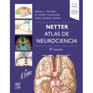 Netter – Atlas de Neurociencia 4 Ed. 2023