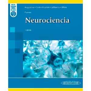 Purves – Neurociencia 7 Ed. 2025