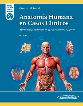 Guzmán - Anatomía Humana en Casos Clínicos 6 Ed. 2026